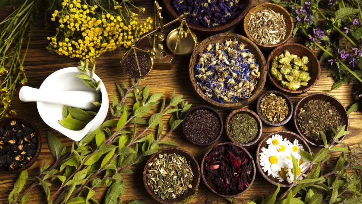Fitoterapia-Ayurvedica
